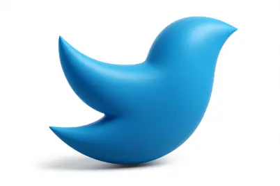 www.bluebirdpublicity
